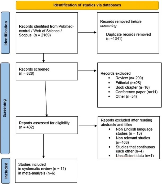 圖1：PRISMA流程圖——納入和排除標準的研究選擇。