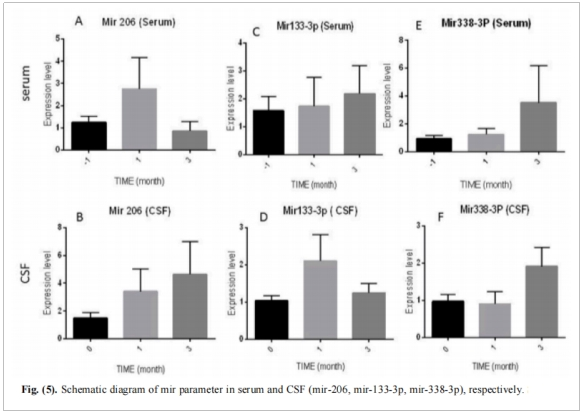 圖3:血清和腦脊液中miRNA參數的示意圖(mir-206、mir-133-3p、mir-338-3p) 圖3:血清和腦脊液中miRNA參數的示意圖(mir-206、mir-133-3p、mir-338-3p)