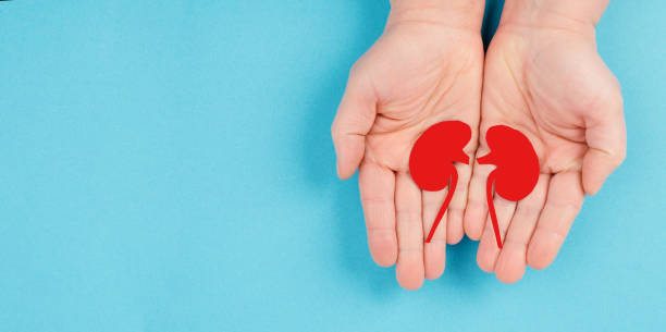 干細胞移植治療狼瘡性腎炎:I期臨床試驗9例結果公布,療效顯著 干細胞移植治療狼瘡性腎炎:I期臨床試驗9例結果公布,療效顯著