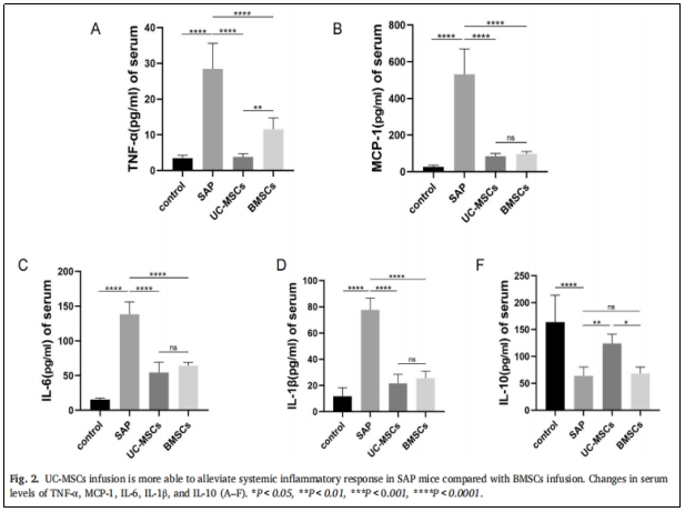 圖2:與BMSCS相比,UC-MSCs的輸注更能緩解SAP小鼠的系統(tǒng)性炎癥反應(yīng)。 圖2:與BMSCS相比,UC-MSCs的輸注更能緩解SAP小鼠的系統(tǒng)性炎癥反應(yīng)。