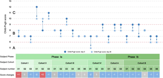 圖1:從基線到第28天,個(gè)人Child-Pugh評(píng)分的變化。 圖1:從基線到第28天,個(gè)人Child-Pugh評(píng)分的變化。