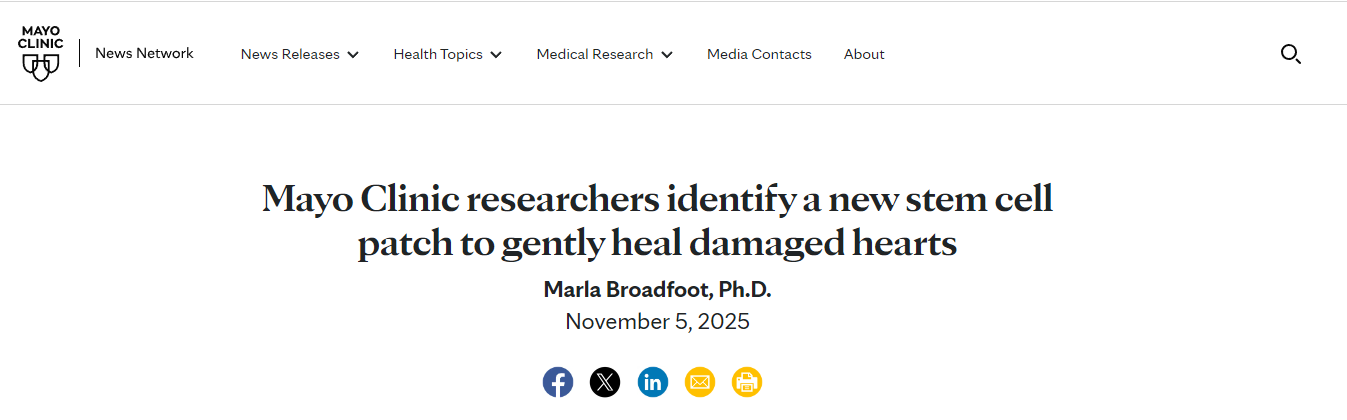 梅奧診所的研究人員發(fā)明了一種新型干細(xì)胞貼片，可以溫和地修復(fù)受損心臟