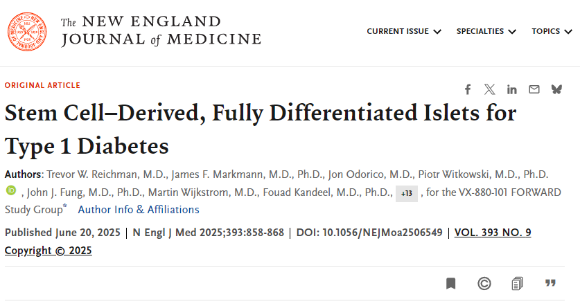 干細(xì)胞來(lái)源的完全分化胰島用于1型糖尿病治療 干細(xì)胞來(lái)源的完全分化胰島用于1型糖尿病治療