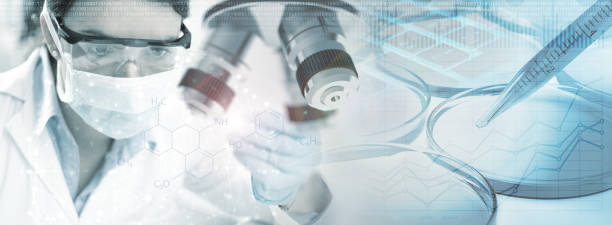 干細胞治療2型糖尿病的前景：從臨床突破看治愈希望