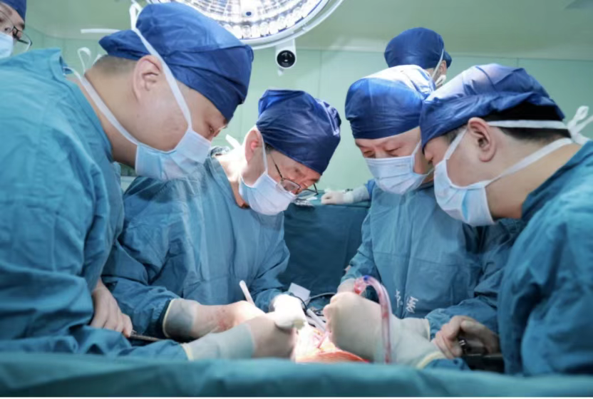 西京醫院肝膽外科竇科峰院士、楊詔旭副教授等為受體移植豬肝 西京醫院肝膽外科竇科峰院士、楊詔旭副教授等為受體移植豬肝