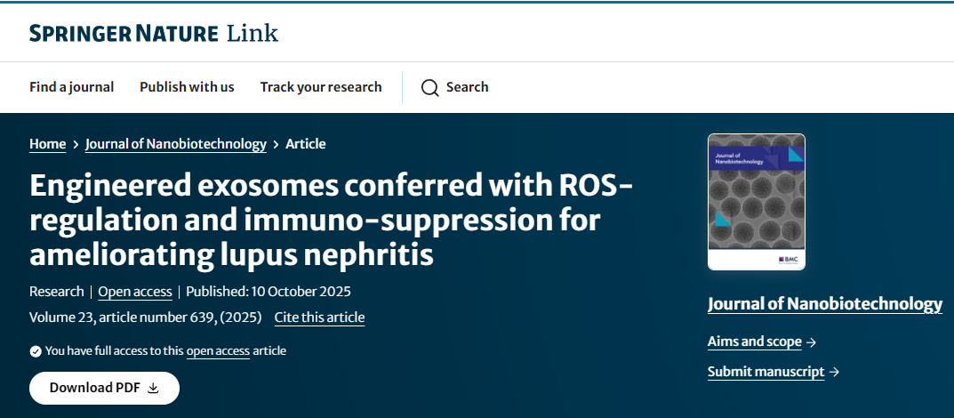 工程化外泌體通過調節活性氧和免疫抑制作用改善狼瘡性腎炎